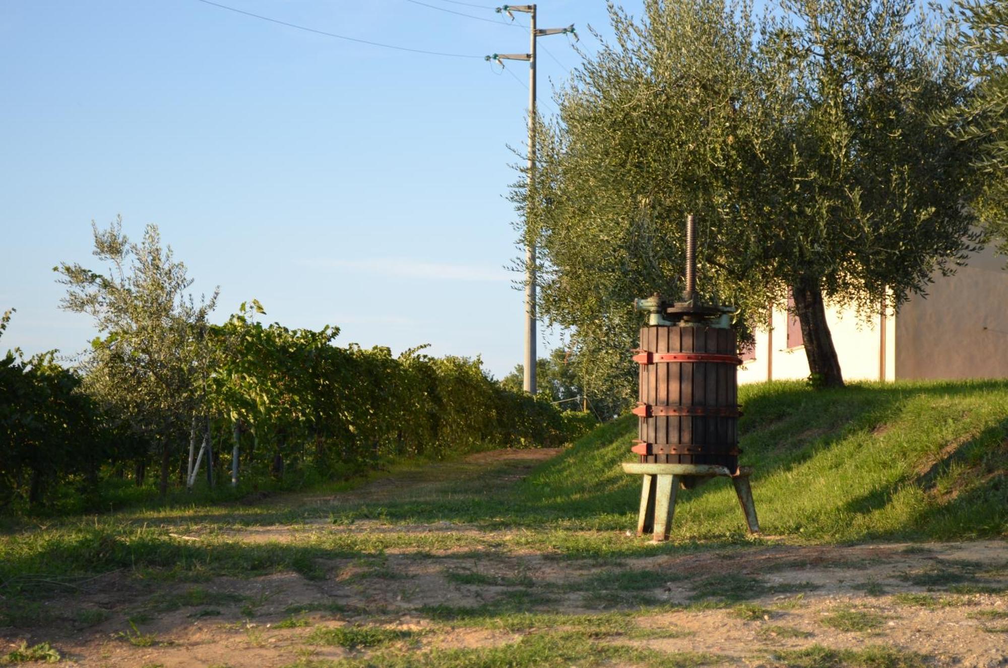 Agriturismo Casale Contessa Montebuono  المظهر الخارجي الصورة