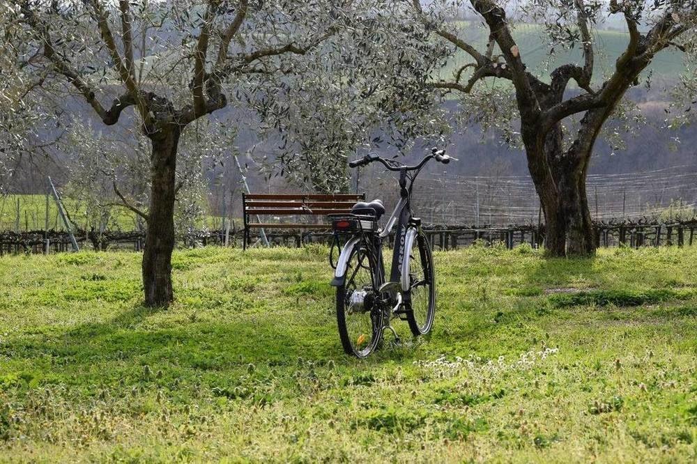 Agriturismo Casale Contessa Montebuono  المظهر الخارجي الصورة