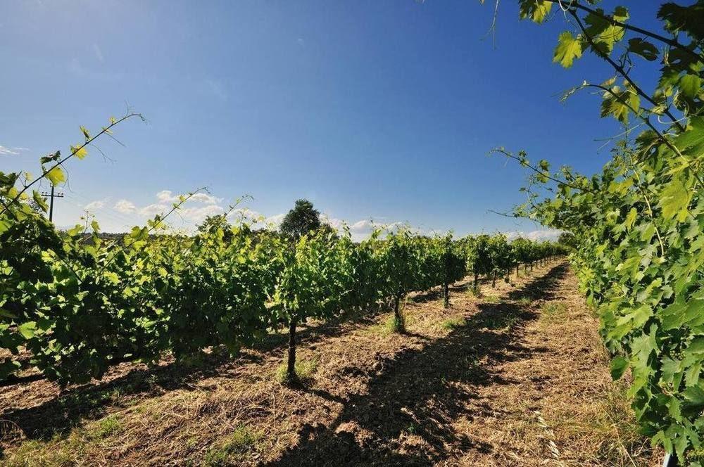 Agriturismo Casale Contessa Montebuono  المظهر الخارجي الصورة
